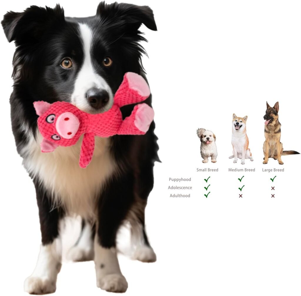 Jalousie 5 Pack Squeaky Plush Toys Assortment Value Bundle Puppy Pet Mutt Squeak Toy for Medium Large Dogs