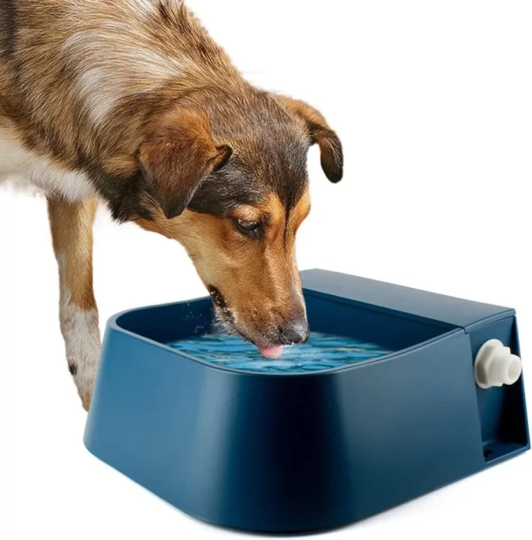Lesypet Dog Water Bowl Review