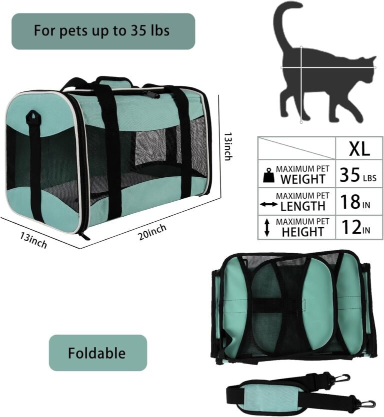 Cat Carrying Case Review