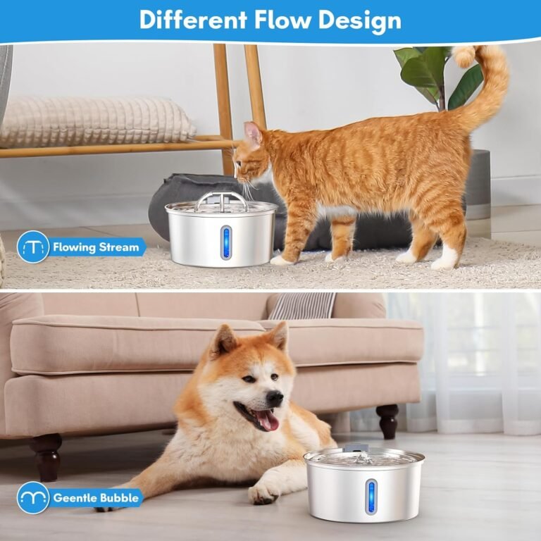 Cat Water Fountain Review